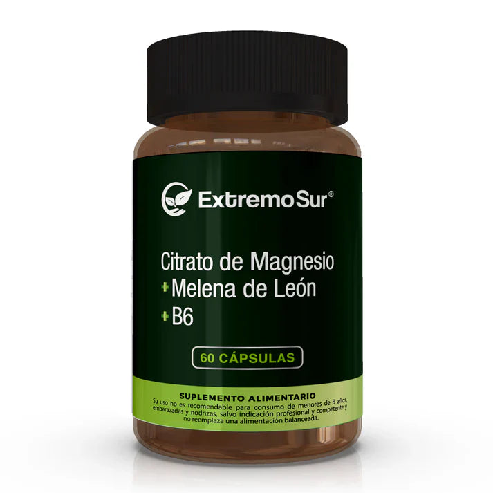 Magnesio + Melena de León + Vitamina B6