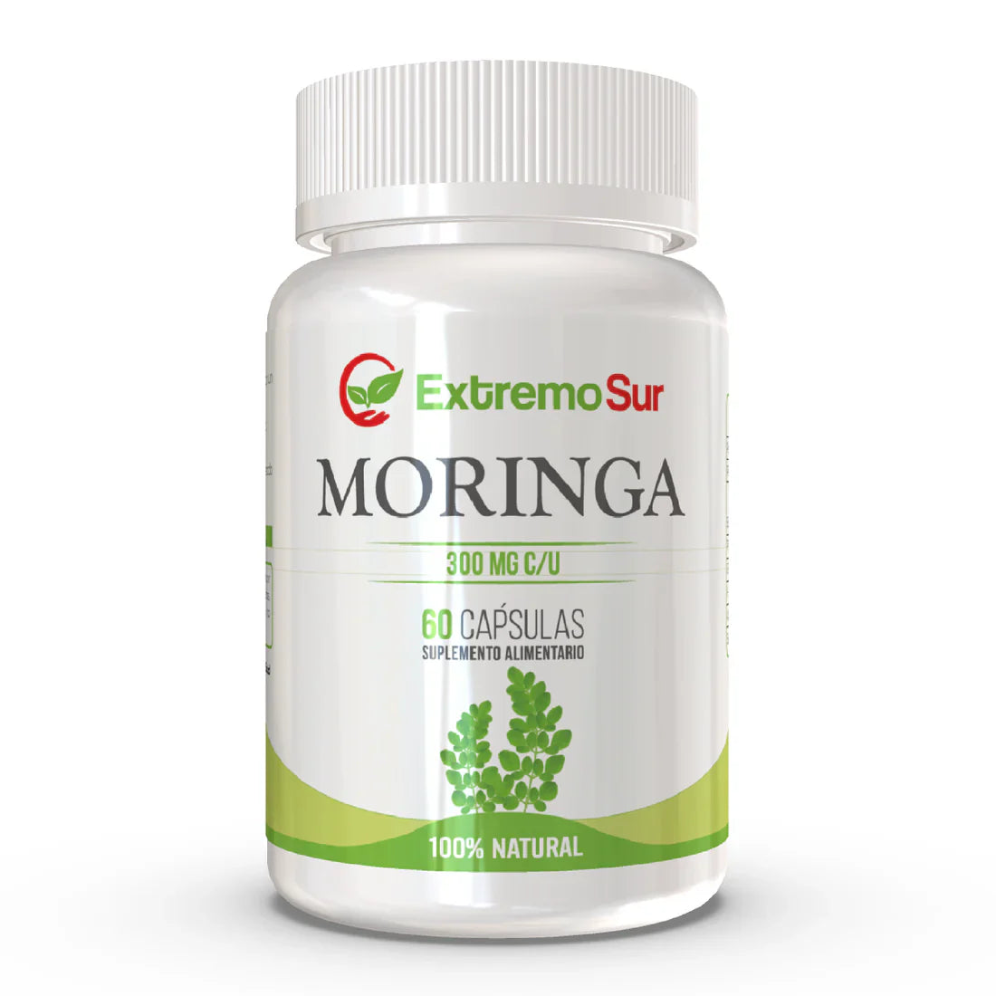 Moringa Extremo Sur